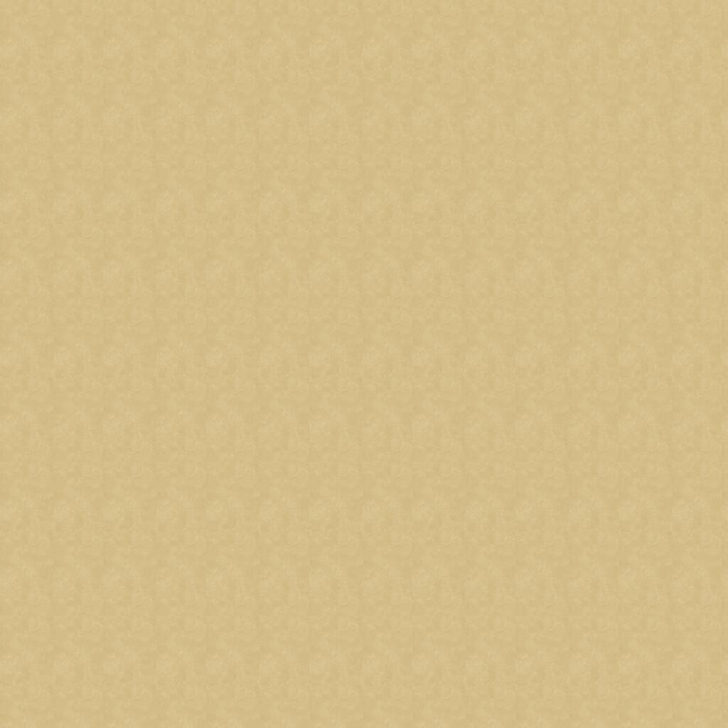 28923_10033576.jpg img